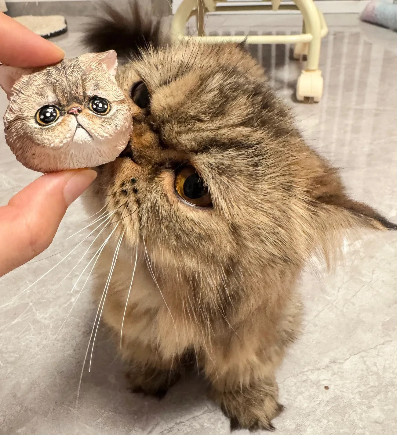 Custom Pet Fridge Magnets and Car Air Freshener Plaster Ornaments