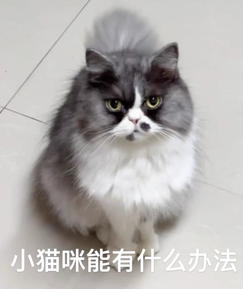 Custom-Made Full-Body Felt Cat Pet Figurines