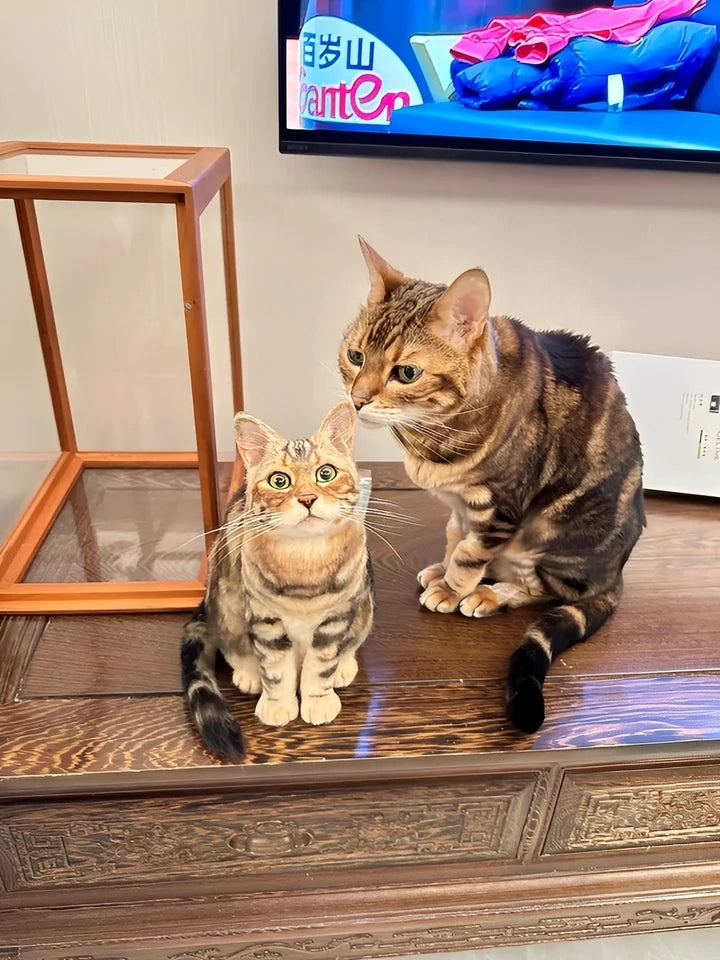 Custom-Made Full-Body Felt Cat Pet Figurines